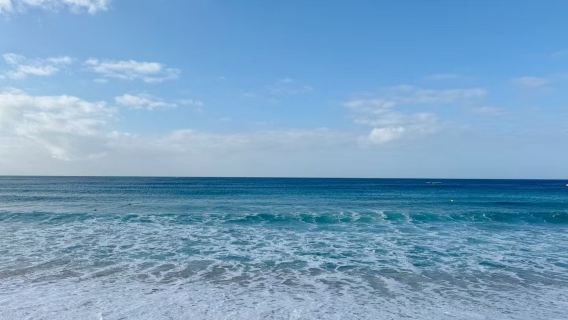 Pergi-Balik Kaohsiung Taiwan & Taman Ekologi Rusa Sika + Pantai Baisha [Lawatan Sehari Sewaan Peribadi Keluarga]