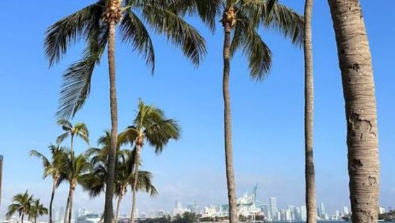 Amerika Miami - Taman Negara Everglades - Pantai Miami - Perjalanan Eksklusif Bahasa Cina