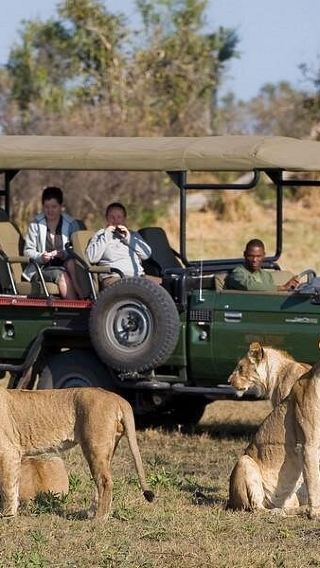 1-day tour from Livingstone, Zambia to Chobe National Park, Botswana with lunch and cruise