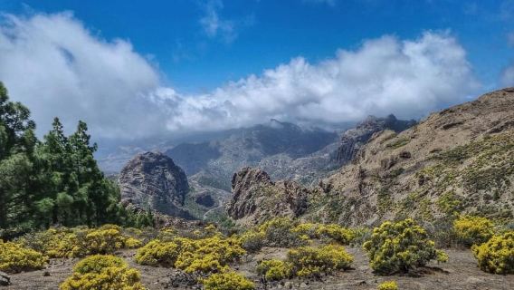 Gran Canaria: "Gran Canarias bergstoppar" Vandringstur