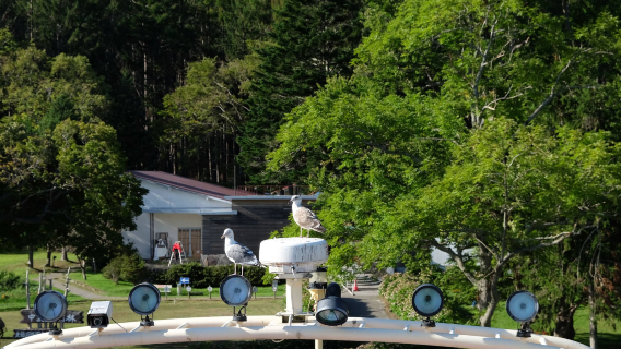 日本札幌-登別溫泉-洞爺湖-昭和新山【中文包車-舒適純淨】