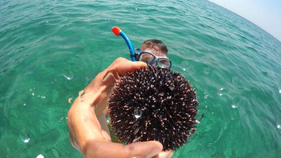 Zadar: 3-Island Snorkeling, Beach, and Sightseeing Tour