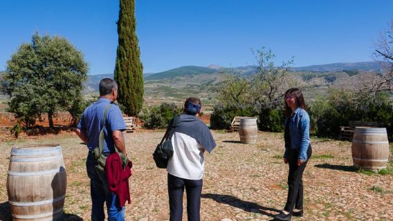 Almería: Wine tour and tasting in Organic Winery