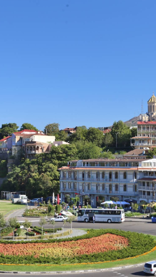 Tbilisi airport - city private charter (admission ticket not included, customizable)