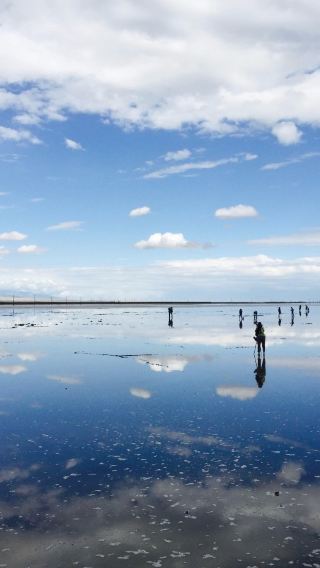 One-day tour from Xining to Qinghai Lake and Chaka Salt Lake: Encounter the sapphire of the plateau, stroll on the sky mirror