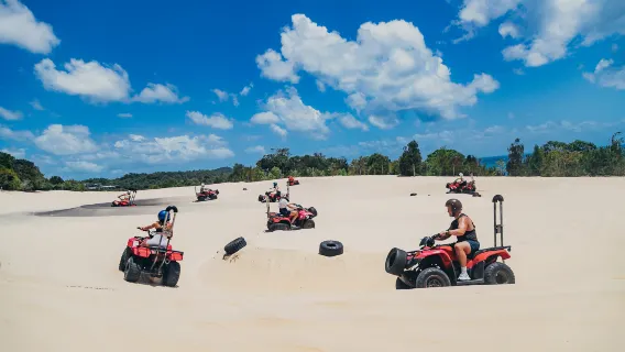 Crociera giornaliera a Tangalooma con Quad ATV
