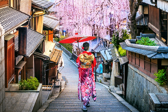 京都清水寺+奈良公園+伏見稻荷大社一日遊