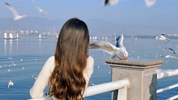 昆明海埂大壩旅拍【【全精修】精緻攝影旅行跟拍親子情侶閨蜜】