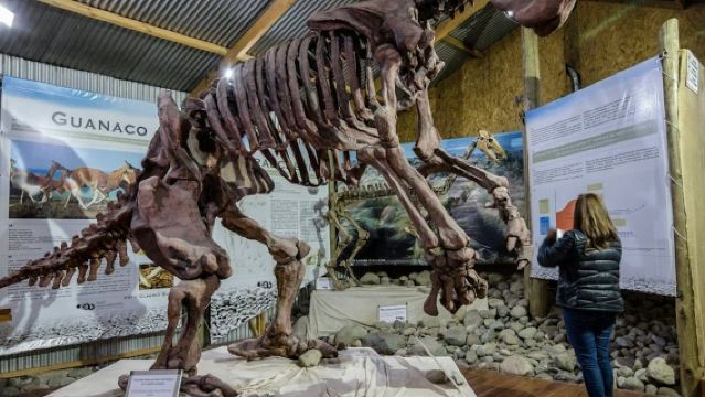 Punta Walichu: Guided Tour + Roundtrip Transfer