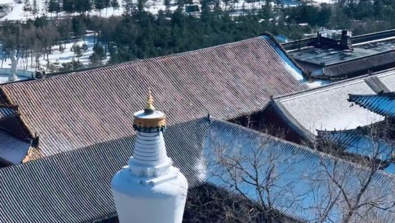 五台山一日遊【太原出發·含入場門票、來回巴士車·精品團天天發團】