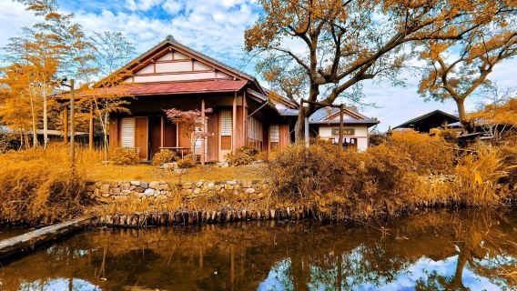 無錫蠡園+黿頭渚+十八灣環湖+湖濱商業街包車一日遊8小時