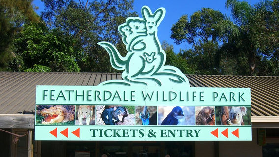 SydneyTours