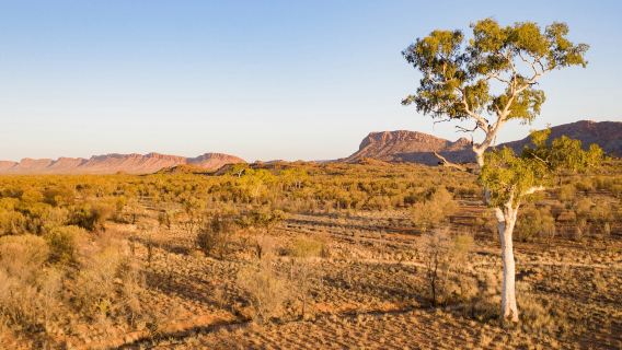 West MacDonnell Ranges: Guided Tour + Roundtrip Transfer + Lunch