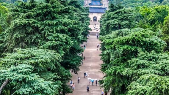 芳華說南京鐘山風景區導覽一日遊【精講6小時】