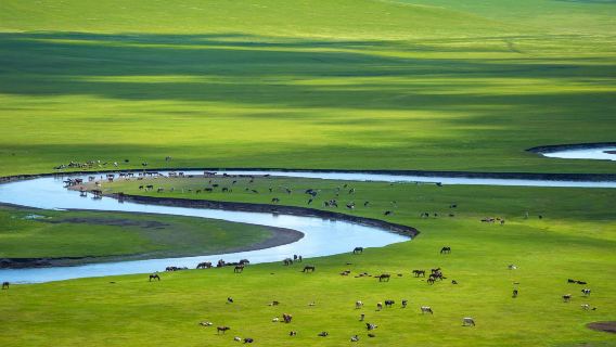 海拉爾莫日格勒河一日來回