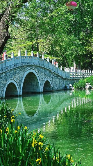 1-day tour of Ancient Town of Qingzhou + Jingtang Ancient Town + Qingzhou Museum in Shandong with bilingual service