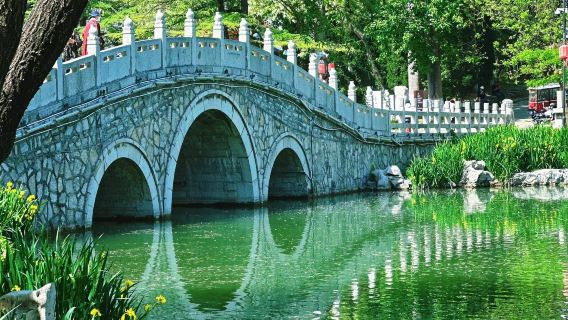 Shandong Qingzhou City That Never Sleeps + Jingtang Ancient Village + Qingzhou Museum 1-day tour(English Available)