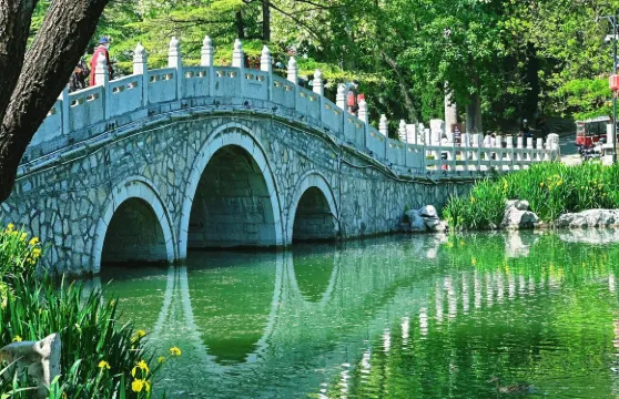 山東青州不夜城+井塘古村+青州博物館一日遊中英文服務