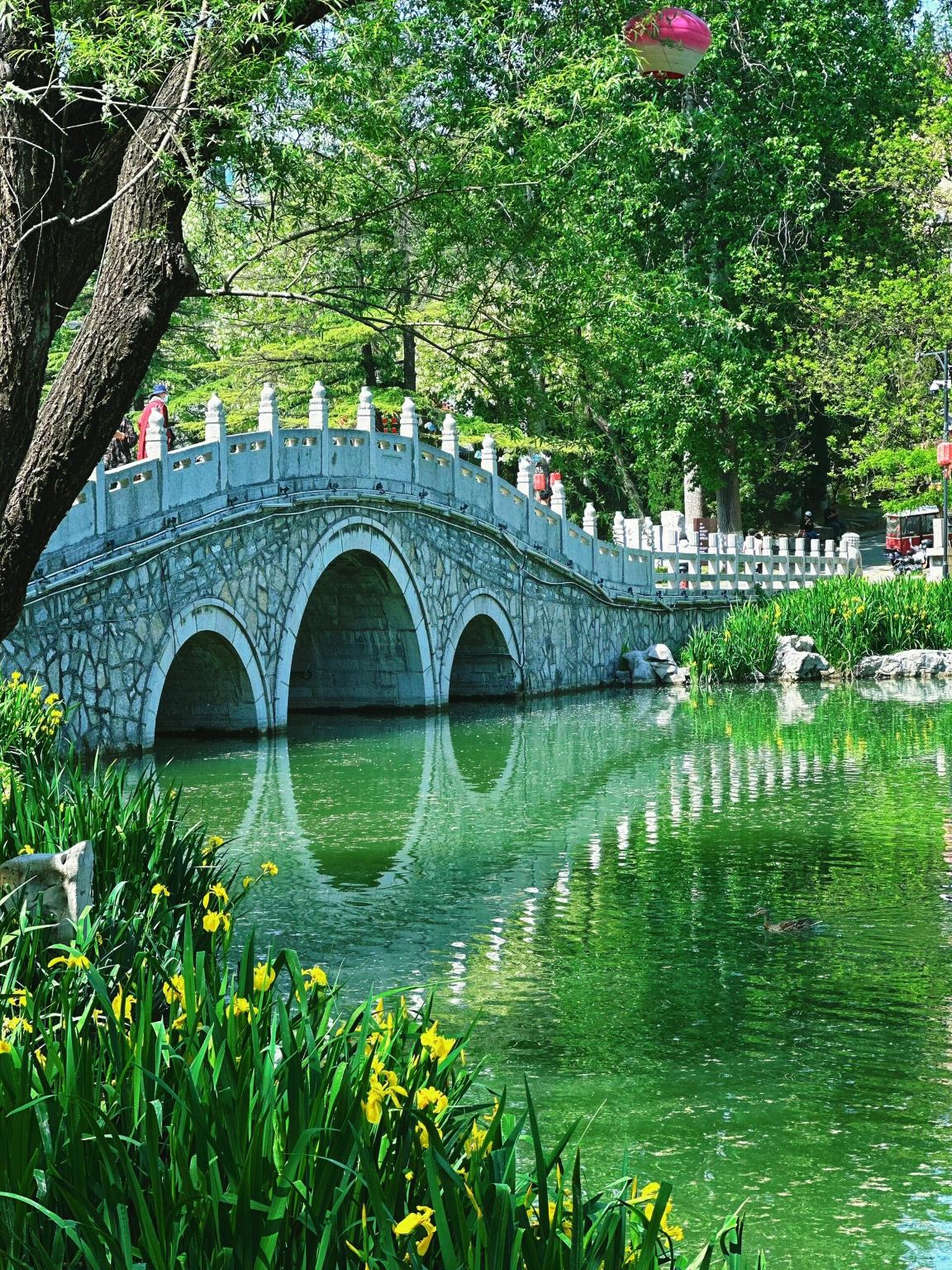 1-day tour to Qingzhou Sleepless Town + Jingtang Ancient Town + Qingzhou Museum with Chinese and English services