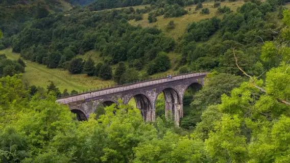 ทัวร์วันเดียว/ทัวร์หลายวัน อุทยานแห่งชาติ Peak District + ดาร์บีเชียร์|กลุ่มเล็ก|ไป-กลับ แมนเชสเตอร์