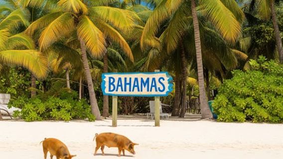 MiamiExperiences