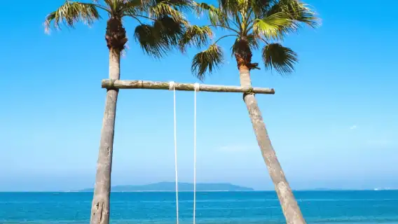 Japan Charter Tours | Itoshima Sakurai Shrine and the Couple Iwagaki House Gate Charter / Private Tours / Chinese/English