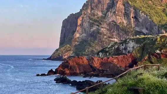 濟州島東線包車一日遊【含門票+專車】可定制行程一手報價