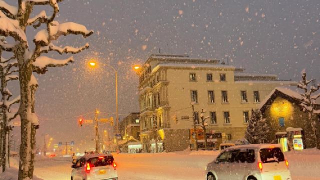 日本北海道小樽一日遊｜天狗山｜札幌往返｜尋找《情書》中的美景