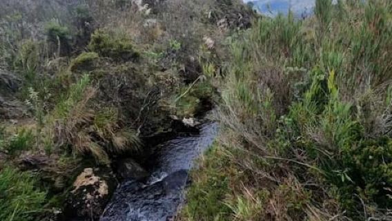 Páramo, Fuente de Agua y Guardián de la Vida - Senderismo