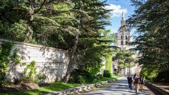 Avignon: City Walking Tour with Popes Palace Entry