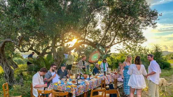 Alcamo: Verkostung von Naturwein und Olivenöl – Sizilien