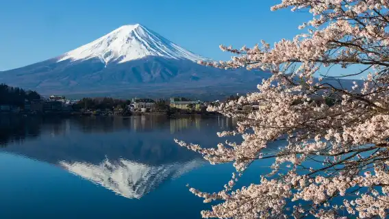 Direct one-way express bus ticket: Tokyo to Kawaguchiko