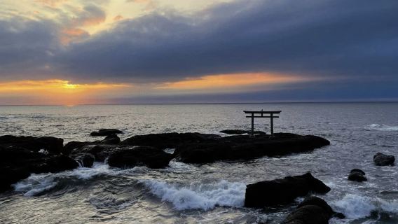 日本茨城：海濱公園+偕樂園+牛久大佛+鹿島神宮普通話包車可調
