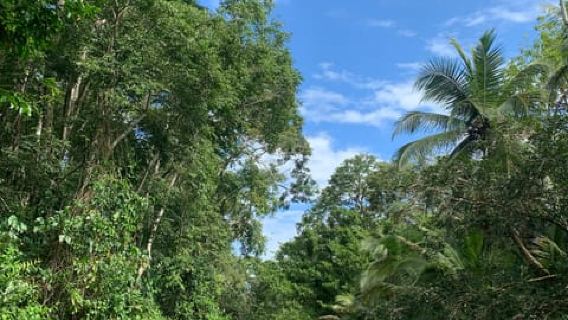 CARIBBEAN EXPERIENCE - PUNTA UVA