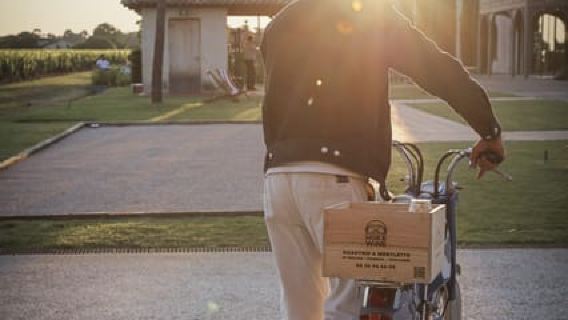 Saint-Emilion: Vintage moped rides and tours