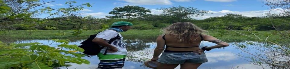 サンタクルーズ：巨大なゾウガメウォッチングと溶岩トンネルツアー