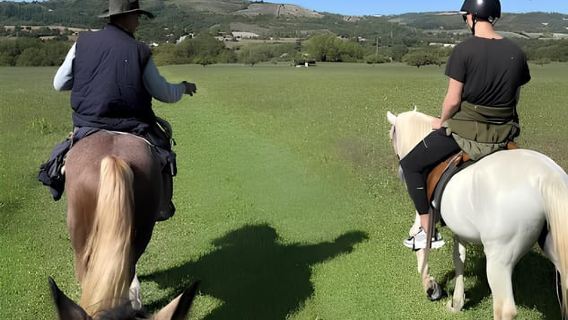 Bologna: Passeggiata a cavallo sui colli bolognesi