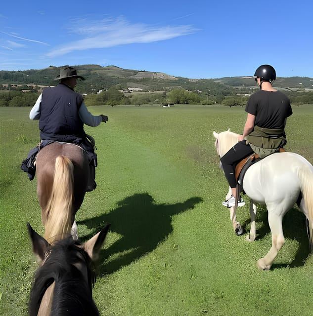 โบโลญญา: ขี่ม้าในเนินเขาโบโลญญา