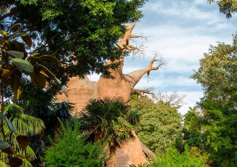 Fuengirola: Eintrittskarte für den Bioparc