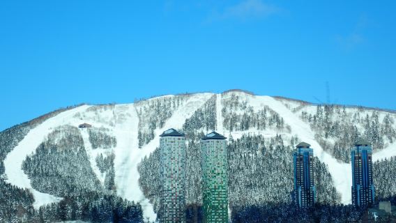 北海道星野TOMAMU私人滑雪課程【官方登記滑雪學校|國際認證專業教練|中文/英文教學】