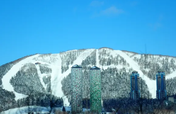 北海道星野TOMAMU私人滑雪課程【官方登記滑雪學校｜國際認證專業教練｜中文／英文教學】