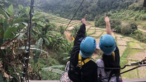清邁大象自然保護營+飛躍叢林+老虎王國+大象粑粑公園一日遊