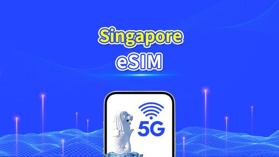 eSIM di Singapore | 5G/4G | Pacchetto dati giornaliero/totale | rete ad alta velocità | Fatturazione per giorno naturale | 1-30 giorni | codice QR