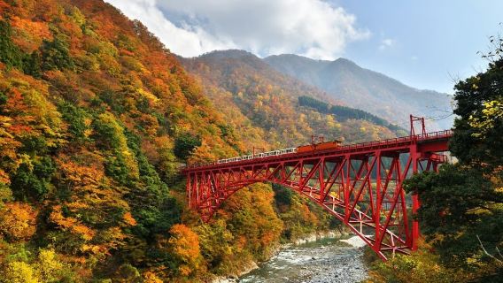 Kurobe Gorge Sightseeing Train (Unazuki to Nekomata) Round-Trip Ticket