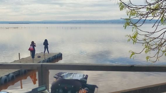 วาเลนเซีย: ทัวร์ปั่นจักรยานพร้อมไกด์ครึ่งวัน