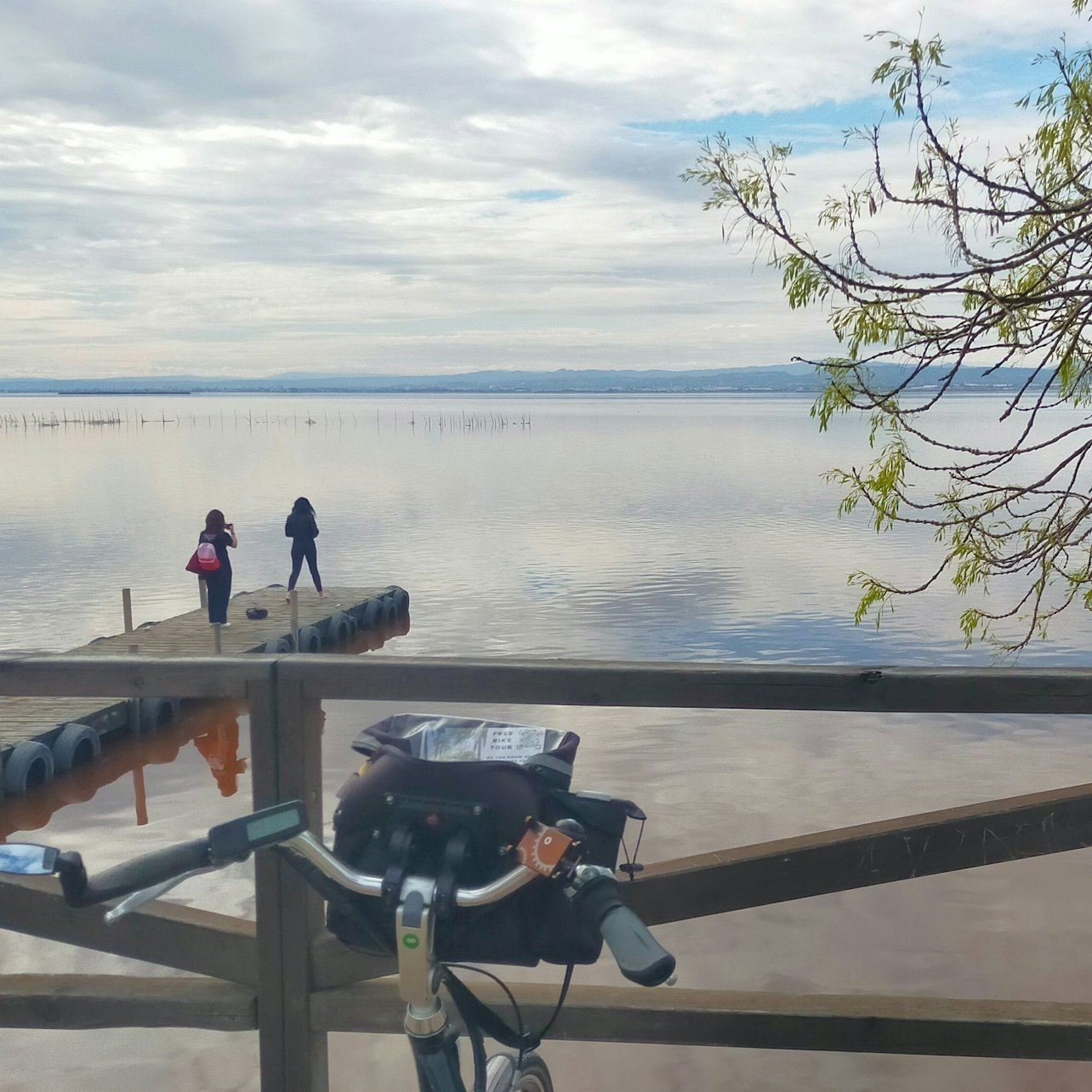 Valencia: Tour in Bicicletta Guidato di Mezza Giornata