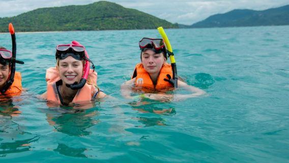 Tan & Pig Islands: Guided Speedboat Tour from Koh Samui + Pink Dolphin Spotting
