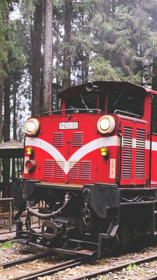 One-day cultural and ecological tour of Chiayi Alishan | Depart from Kaohsiung or Tainan | Private group