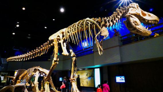 Royal Tyrrell Museum + Horseshoe Canyon