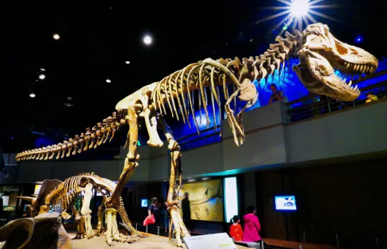 皇家蒂勒爾博物館+馬蹄峽谷